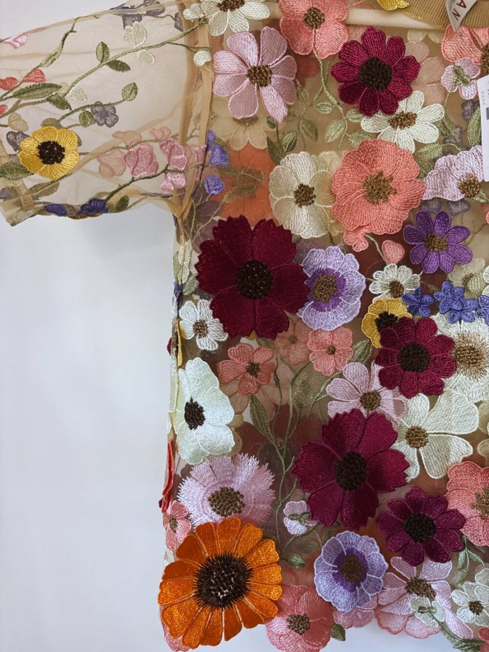 Anthropologie DOLAN Left Coast Sheer Floral Applique Tee M Medium BNWT - Picture 3 of 4